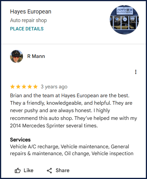 Review of Hayes European By R Mann