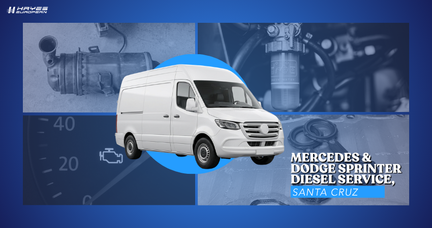 Mercedes & Dodge Sprinter Diesel Service, Santa Cruz